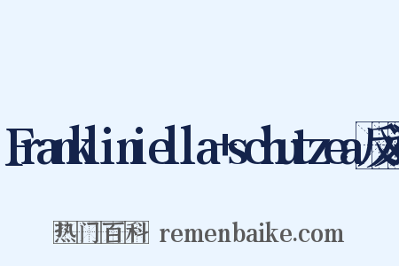 Frankliniella+schutzea反义词是什么意思的图片